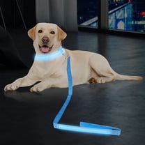 Luxtrada LED Dog Leash Light Up Dog Leash Micro USB Rechargeable Waterproof Nylon Webbing Glow Safety Standard Dog Leash for Dogs (Blue)