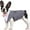 Grey, variant on HQREA Large Medium Dog Tuxedo Suit Formal Pet Wedding Party Suit Puppy Prince Shirt with Bow Tie