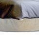 thumbnail image 2 of Fundas de almohada decorativas de 50 x 50 cm (20 x 20 pulgadas) en marrón, fundas de almohada de piel sintética, fundas de almohada hechas a mano, funda de almohada de patchwork, contemporáneas -, 2 of 4