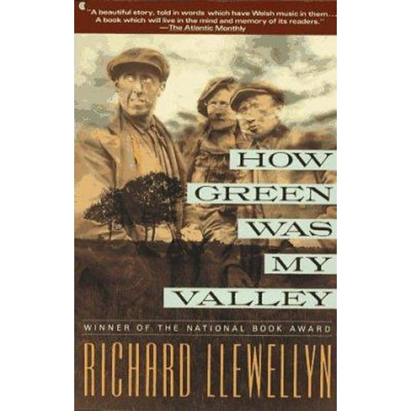 Pre-Owned How Green Was My Valley (Paperback) by Richard Llewellyn, Llewellyn
