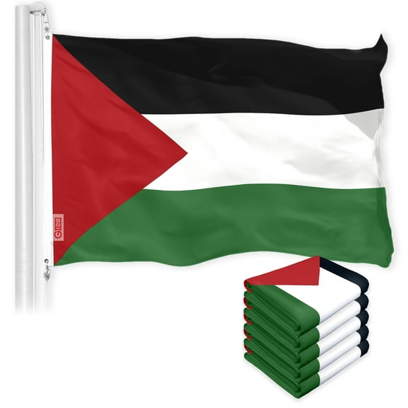 Palestine Palestinian Flag 3x5FT 5-Pack 150D Printed Polyester By G128