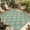 LightGreen White Beige, variant on Black Beige Dandelion Outdoor Rug for Patio/Deck/Porch, Non-Slip Large Area Rug 5 x 7 Ft, Farmhouse Botanical Blossom Indoor Outdoor Rugs Washable Area Rugs, Reversible Camping Rug Carpet Runner
