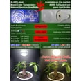 thumbnail image 3 of Alide E12 Candelabra Base LED Grow Light Bulb, Full Spectrum Indoor Plant Light Bulb, 12W, Pack of 3, 3 of 7
