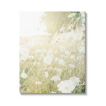Sunlit Meadow Blooming Wildflowers Landscape Photograph Gallery Wrapped Canvas Print Wall Art