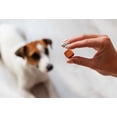thumbnail image 3 of Desparasitante Nexgard Spectra 30-60kg Pack 4pz Para Perros Boehringer Ingelheim nexgard, 3 of 4