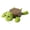 Green, variant on 3D Printing Turtle Coaster Creative Decorative Funny Ornament Fashion Home Decor Accessories Desktop Decoration Figurines