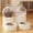 A, variant on Food Storage Containers Automatic Pet Feeder – Gravity Water & Food Dispenser Set for Dogs