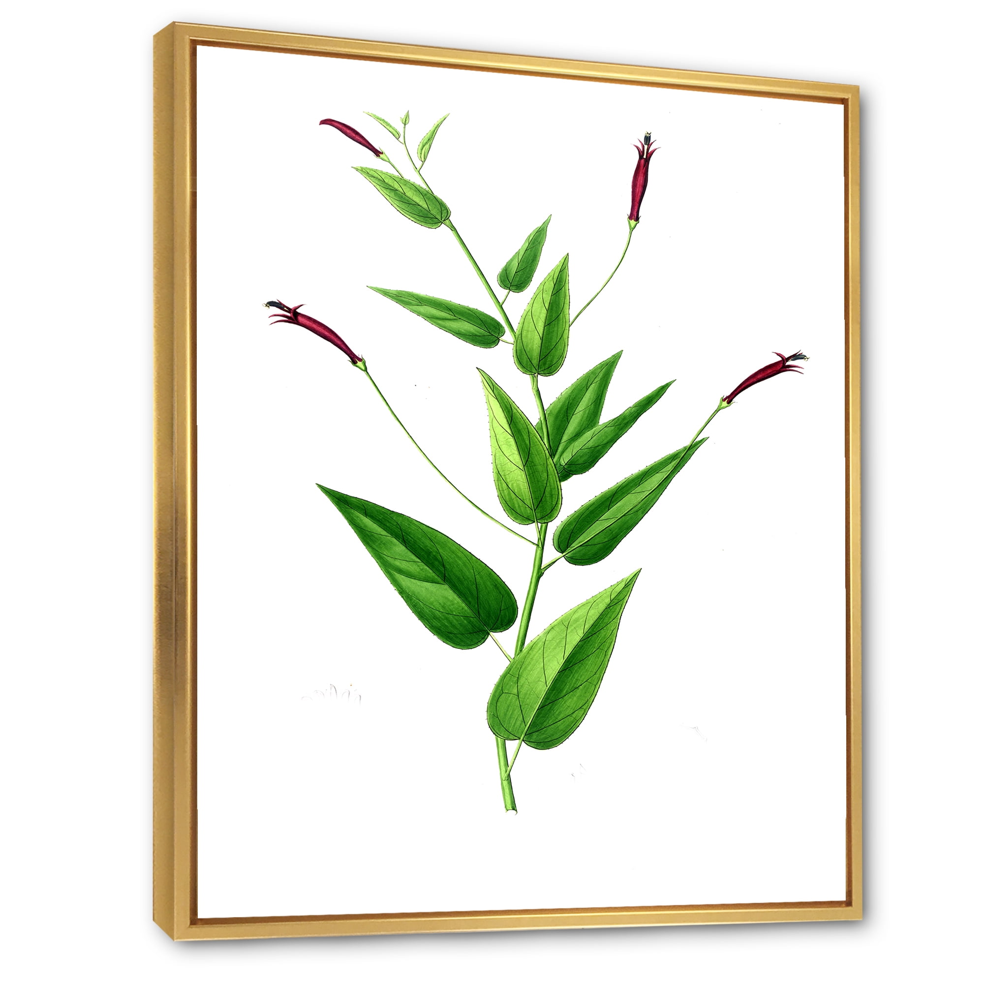 Designart 'Ancient London Plants VII' Traditional Framed Canvas Wall Art Print