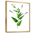 thumbnail image 3 of Designart 'Ancient London Plants VII' Traditional Framed Canvas Wall Art Print, 3 of 5