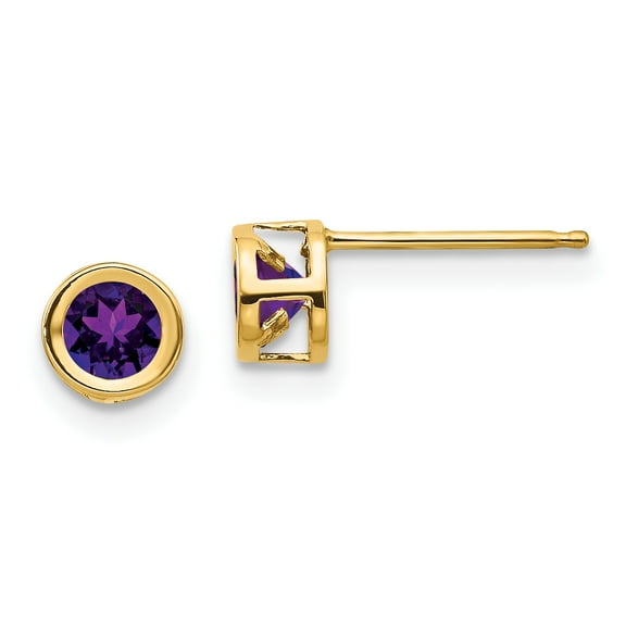 Primal Gold 14 Karat Yellow Gold 4mm Bezel February Amethyst Post Earrings