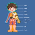 thumbnail image 4 of Juguetes Biológicos Para Niños, Estructura Del Cuerpo Humano, Rompecabezas Cognitivo, Rompecabezas De Madera, Juguetes Para Niños Y Niñas, Juguetes Educativos De Seguridad Noticed FN003483-00, 4 of 6