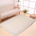 thumbnail image 7 of Small Area Rugs,Outdoor Mat Non Slip Doormat,Rug for Sofa Couch Seat Cushion Washable Fuzzy Runner Rug Thick Area Rug Floor Carpets for Bedside Living Room 1.6X5.9 Ft Rectangle, 7 of 7
