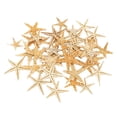 thumbnail image 2 of Estrella de mar natural - Decoración para el hogar Conchas marinas Artesanía 2-3cm 50 piezas Zulema artesanías conchas marinas, 2 of 8