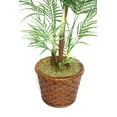 thumbnail image 2 of Vintage Home by Vintage Home 81-in Tall Areca Palm Tree in 17-in Fiberstone Planter 36L 36W 80.8H, 2 of 4