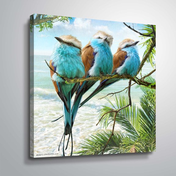 Racquet-tailed Rollers Oceanview