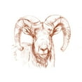 thumbnail image 2 of Parker, Jennifer Paxton 14x12 Gold Ornate Wood Framed with Double Matting Museum Art Print Titled - Big Horn Sheep II, 2 of 4