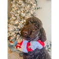 thumbnail image 5 of Midlee White/Red Christmas Plush Jingle Bell Collar (Small)- Festive Holiday Pet Accessories, 5 of 5