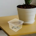 thumbnail image 4 of BESTYASH 10Pcs Plastic Reptile Terrarium for Easy Cleaning with Ventilation and Crystal Clear Observation, 4 of 8