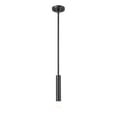 thumbnail image 3 of Z-Lite 1956P-Rod Stari 5" Wide Rod-Hung Mini Pendant - Black, 3 of 7
