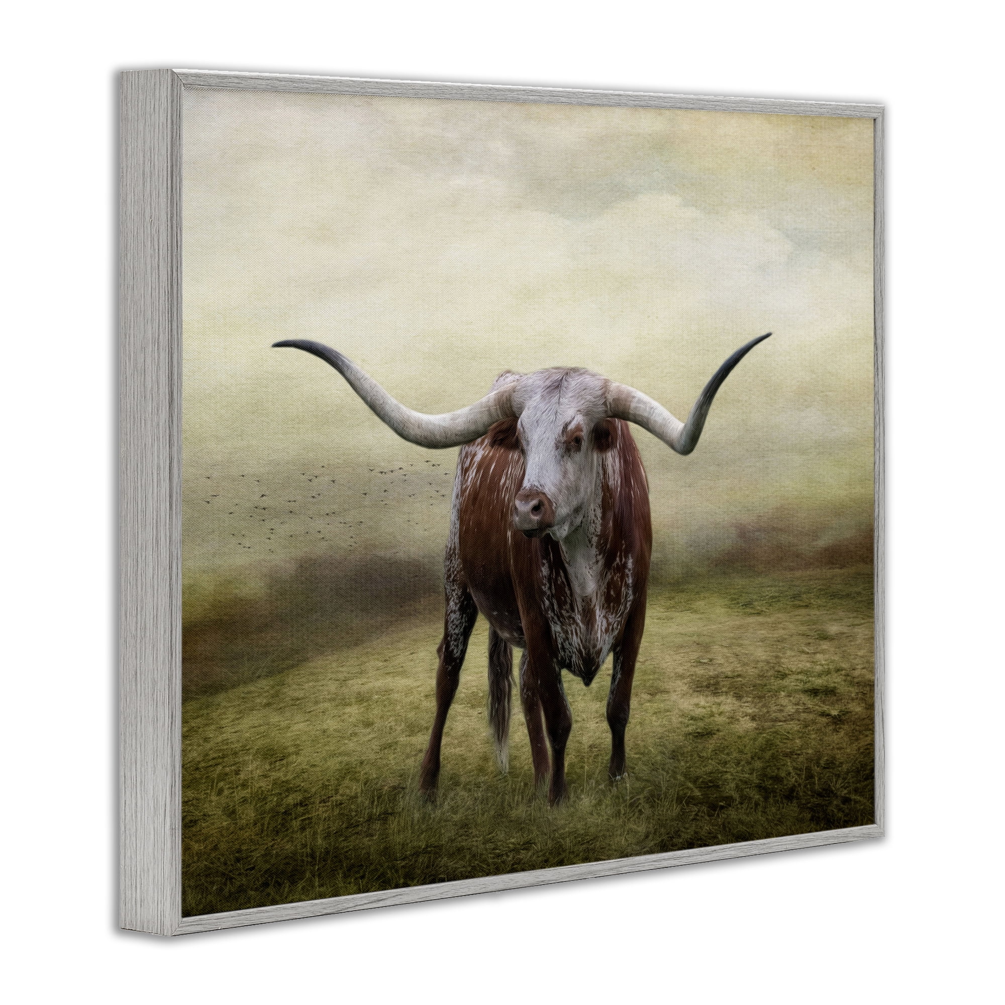 Stupell Industries Pride Of The Longhorn Animals & Insects Photography Gray Framed Art Print Wall Art, 20 x 16