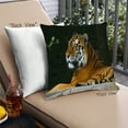 thumbnail image 1 of Ahgly Company Animals Tiger Coussin Extérieur, 18 Pouces par 18 Pouces, 1 of 6