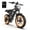 MG-L 2.0, variant on Helokeep 16" Fat Tire Wheel Step-Thru Folding Electric Bike for Women, 1200W Peak, 30 Miles Range, 25MPH, 48V 10Ah Battery, UL2849 Certified, Black