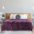 thumbnail image 3 of Unique Bargains Soft Flannel Fleece Velvet Blanket Purple 60" x 78", 3 of 8