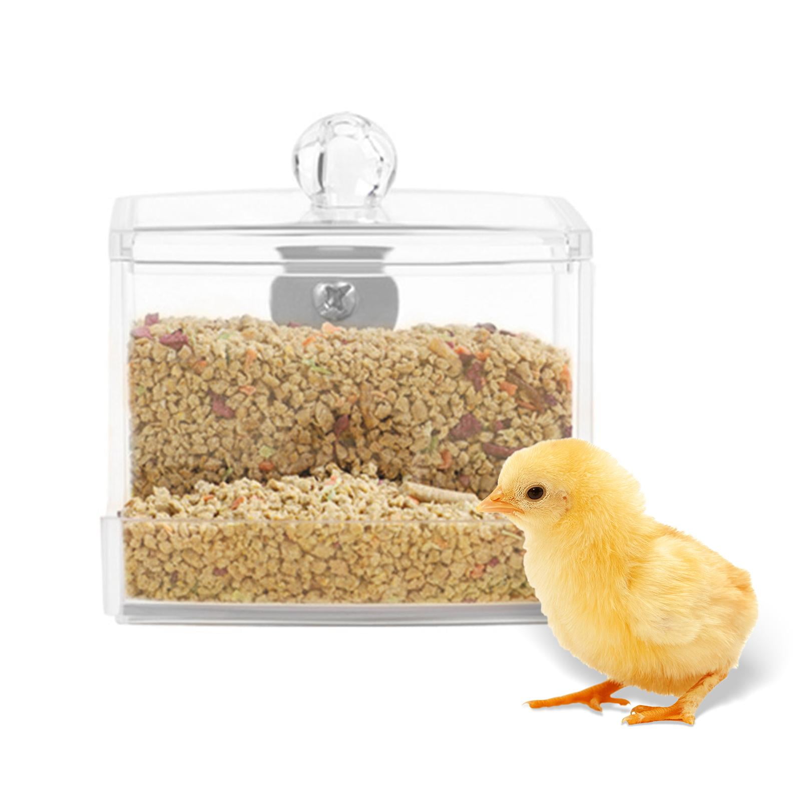 Rutin Chicken Feeder Food Dispenser Clear Acrylic for Coop Cockatiel