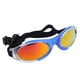 thumbnail image 5 of Gafas de Sol de Perros, Diseño Profesional de Copas para Perros para al aire libre, 5 of 7