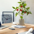 thumbnail image 4 of Flores artificiales en macetas de frutas, adornos artificiales creativos para decoración del hogar, plantas verdes, 4 of 5