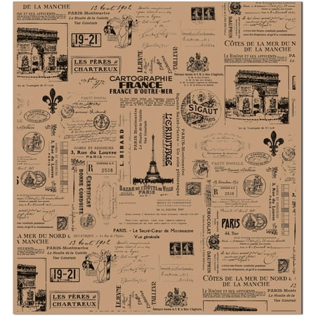 Tissue Paper 20"X30" 4/Pkg-Paris, Pk 2, 7 Gypsies