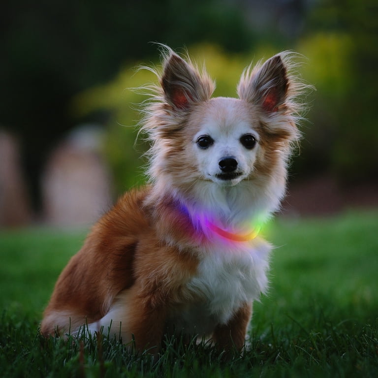 Nite Ize NiteHowl Mini Rechargeable LED Safety Collar photo 2