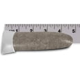 thumbnail image 4 of Jobe's 01310 Fertilizer Spikes, Tree and Shrub, 9 Count, 4 of 9