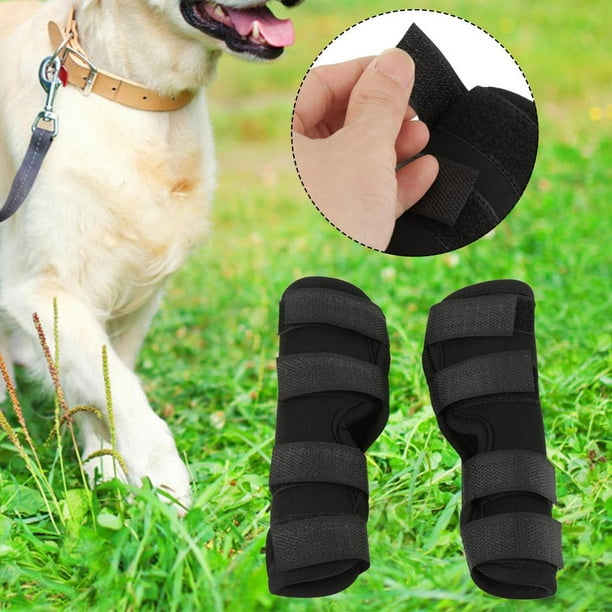 Ejoyous 1 paire de pansement de chien pour attelle de jambe arrière pour  chien, pansement chirurgical pour blessure, protège-jambe pour chien,  pansement pour chien 