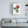 thumbnail image 3 of Vision Studio 'Vintage Rose Clippings III' Canvas Art, 3 of 3