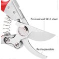thumbnail image 3 of Garden Shears Hand Pruner Shears Pruning Tool_Quality Gift Gift, 3 of 4