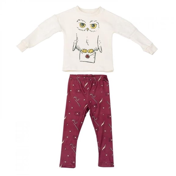 Harry Potter Hedwig Toddler Girls Fleece Set - Size 2T - 2 Piece