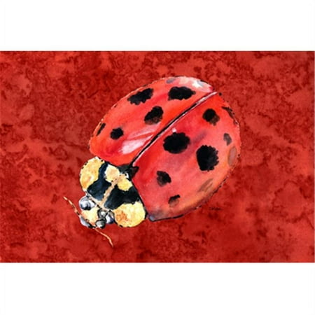 

Lady Bug On Deep Red Fabric Placemat