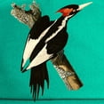 thumbnail image 2 of CafePress - Ivory Billed Woodpecker Cap - Adjustable 100% Brushed Unisex Casual Cotton Baseball Cap, Beige, 1, 2 of 2