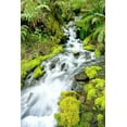 thumbnail image 2 of Taylor, Douglas 13x18 White Modern Wood Framed Museum Art Print Titled - Mountain Stream, 2 of 4