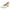 White, variant on Binhe Girls High Heeled Shoes Princess Shoes Primary School Students Single Shoes Children Leather Shoes Dress Shoes with Slip-On Texture Boat to Schooling Daily Walking Shoes for Low Heel