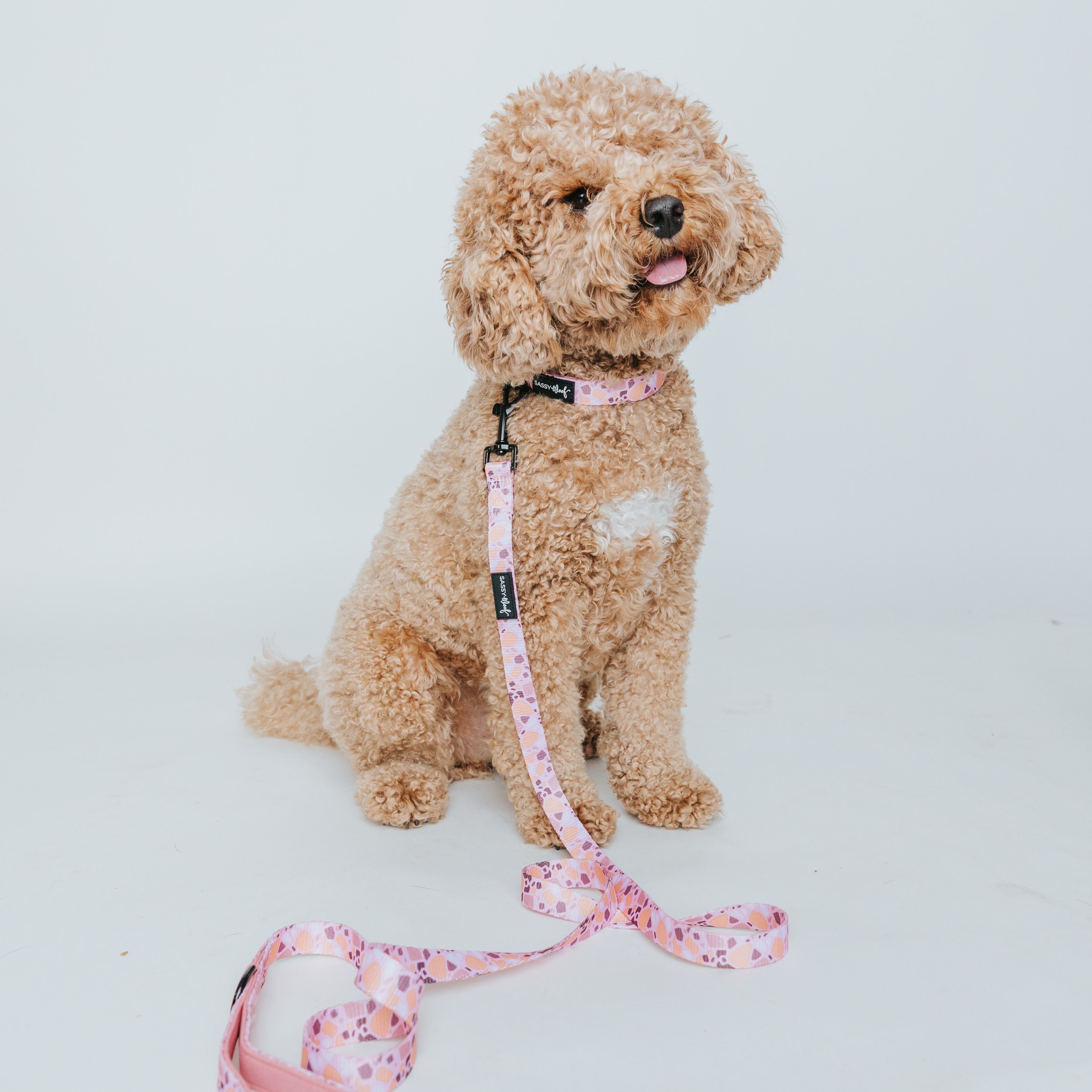 Sassy Woof Pink Terrazzo 6ft Cushioned Dog Leash - Durable for Medium and Large Dogs
