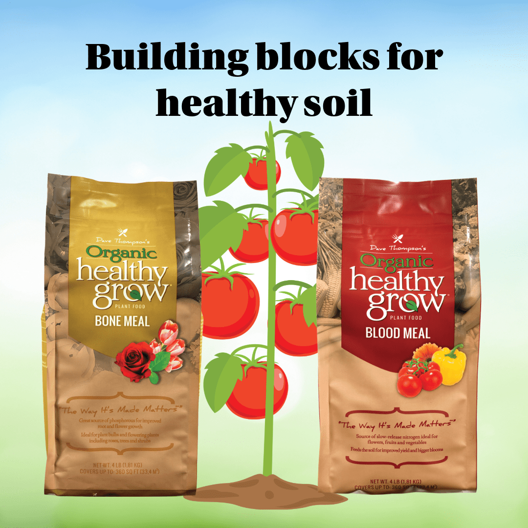 【nabe190様用】SOILED BY BLOOD / Serving The Dave Thompson's Organic Healthy Grow Blood Meal Plant Food