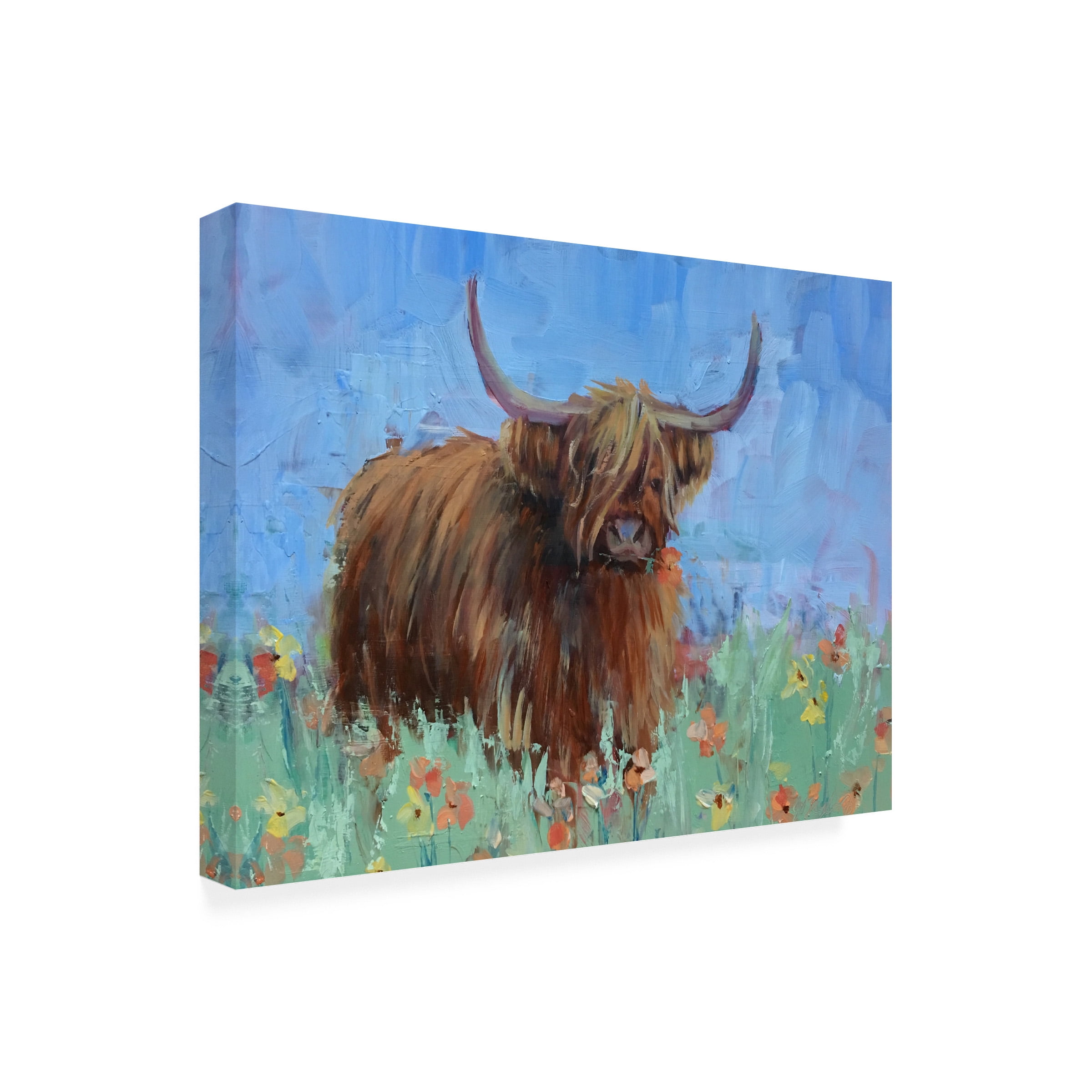 Jennifer Stottle Taylor 'Scottish Highland Cow' Canvas Art