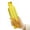 Yellow, variant on Biplut 500ML Water Bottle Leak-proof Time Scale Print Transparent High Borosilicate Teaware Bottle for Office(Multicolor)