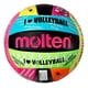 thumbnail image 1 of Balón de Voleibol Molten, 1 of 2