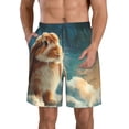 thumbnail image 1 of Sikiie Shorts de Plage pour Hommes Imprimé Ciel Étoilé Nuage Lapin Mignon, Shorts à Séchage Rapide Haute Élasticité - avec Cordon et Poches Antidérapantes, Adaptés pour Plage, Sports, Vacances-Moyen, 1 of 6