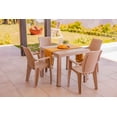 thumbnail image 4 of Sanchia Eterna Rattan Resin Chair Color Beige for Adults, 4 of 5