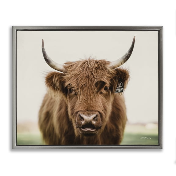 Stupell Industries Farmhouse Farmhouse Cattle Photography Gray Floating Frame Canvas Art, 21 x 17, by Dakota Diener