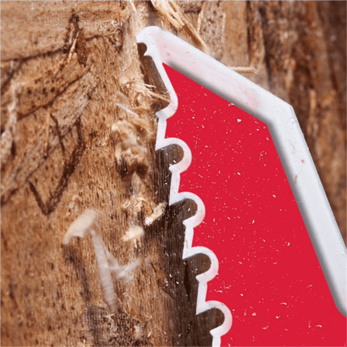 Milwaukee Tool 6" 5 TPI Sawzall  Blades (50 Pk)